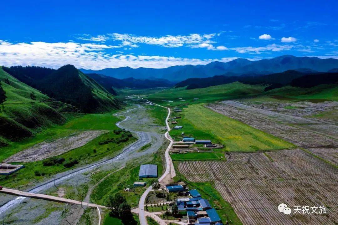 海阳西大滩村图片