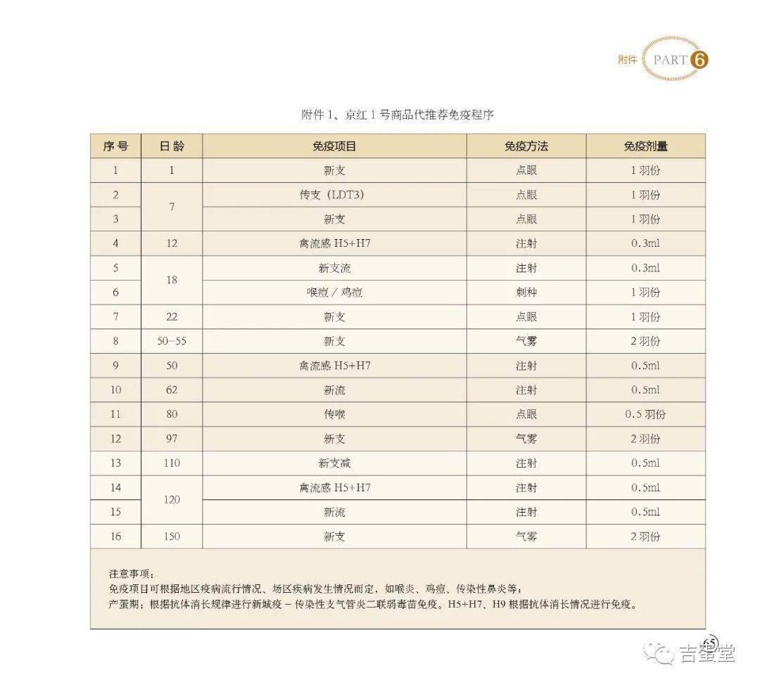 京红蛋鸡产蛋性能表图片