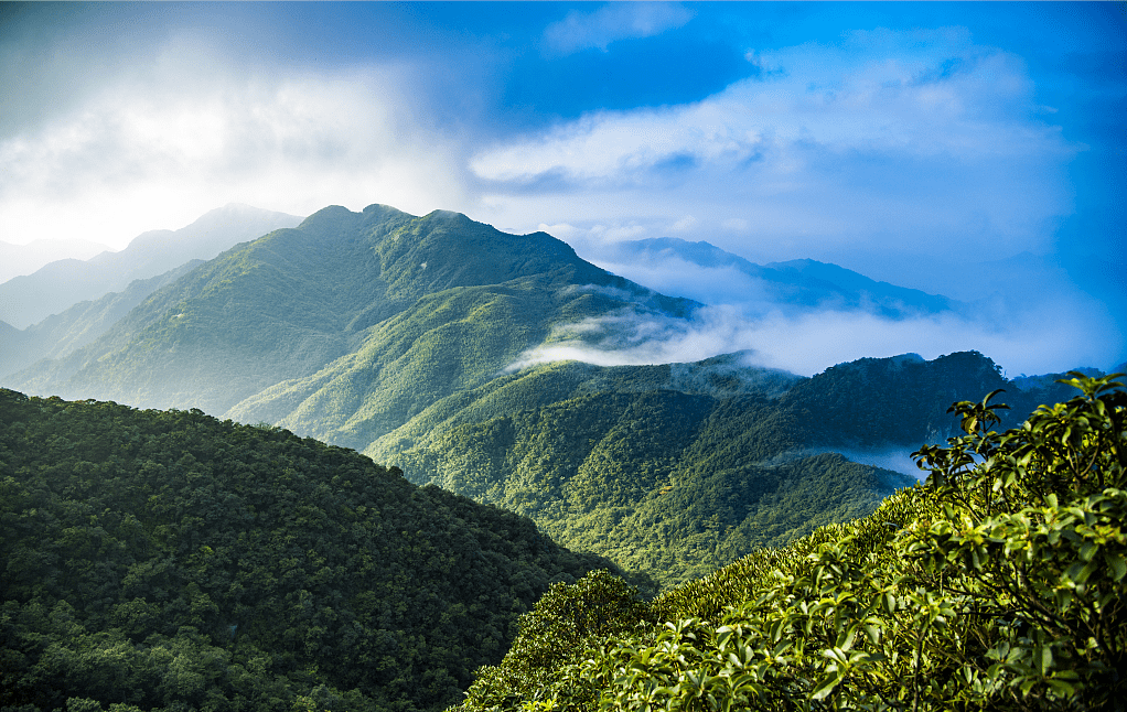 御山台图片