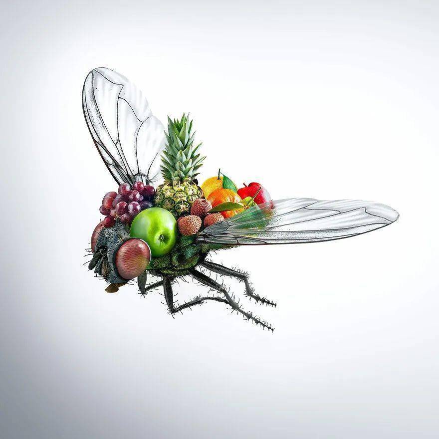 这个ps失控了!_动物_创意_融合