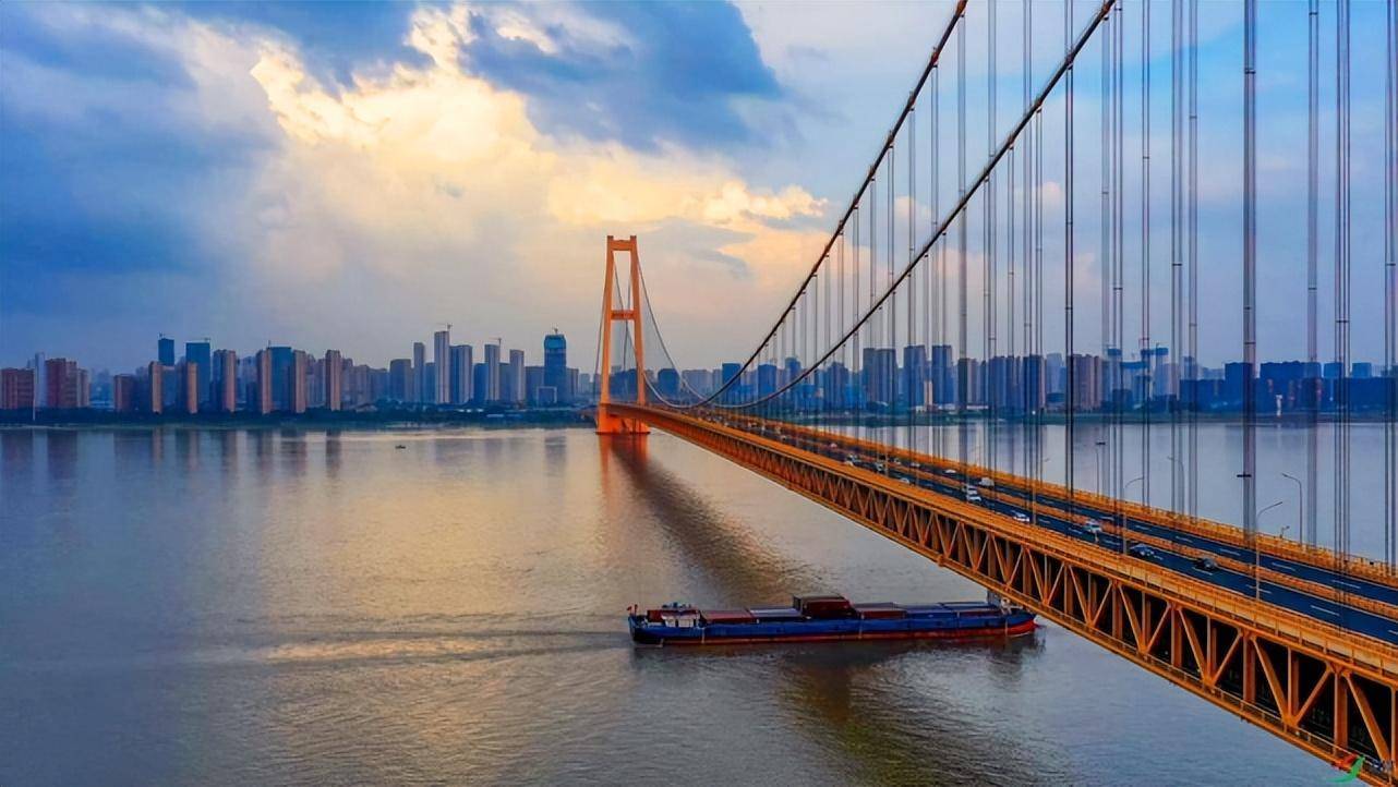 并不是为了外观好看_杨泗港_桥梁_钢缆