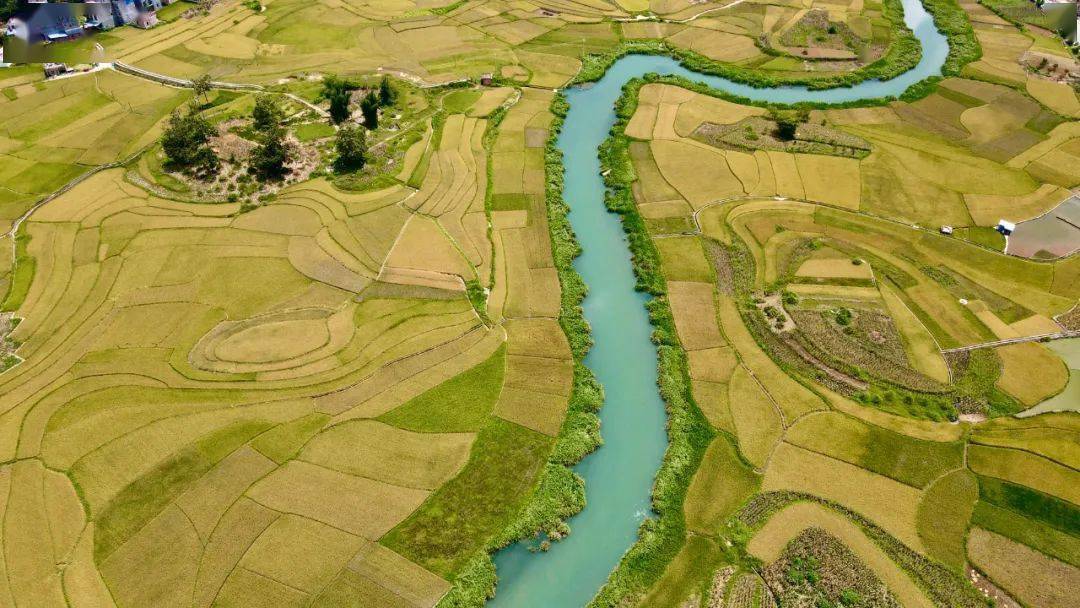 稻子黄八宝稻田—大地的调色盘广南八宝被誉为"高原小桂林"有着桂林一