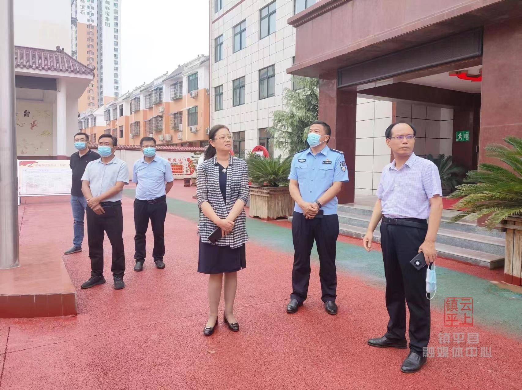 镇平县县长黄静深入石佛寺镇督导调研疫情防控等工作_管理_项目_黄静