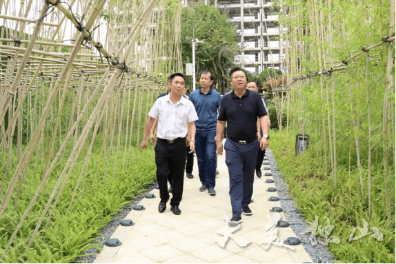 李景宽调研房地产项目建设工作_开发_生产的_监管