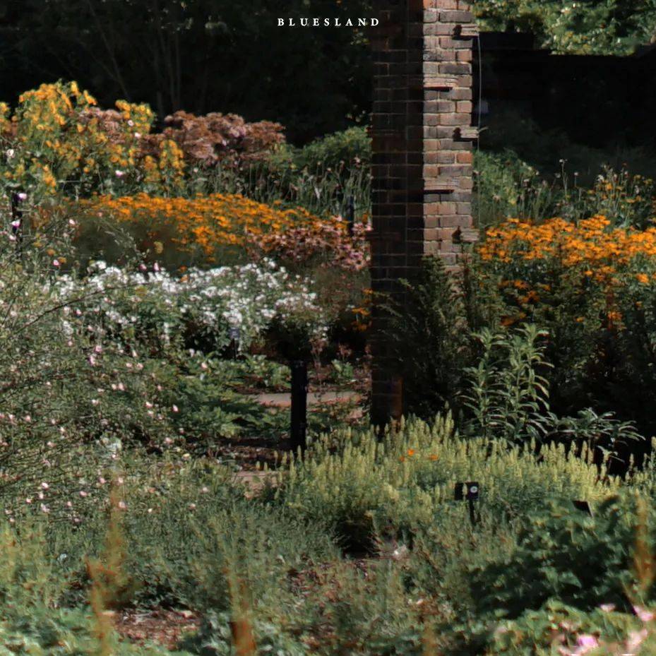 太爱这个宝藏摄影师了!_照片_生活_作品