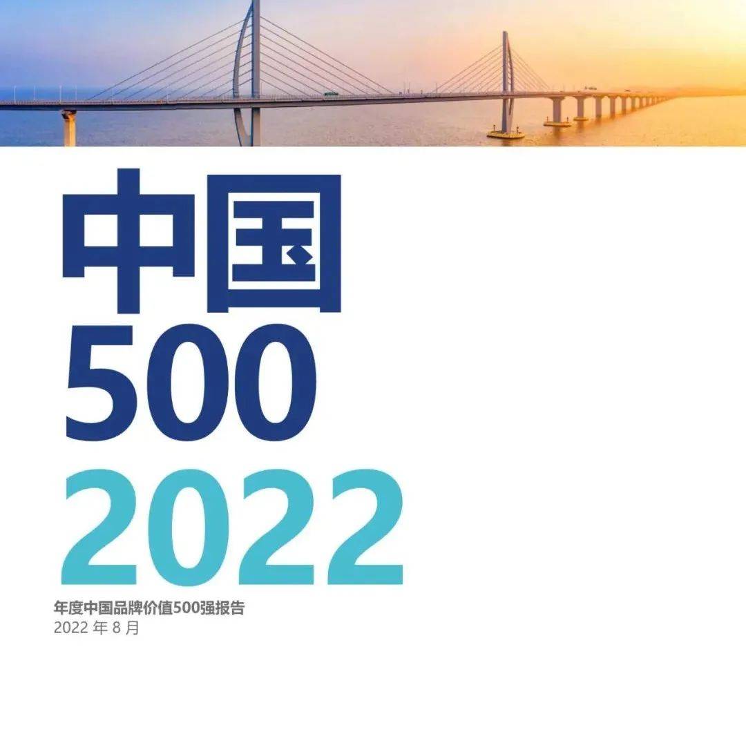 品牌价值-2022年度中国品牌价值500强报告_年度_中国_报告