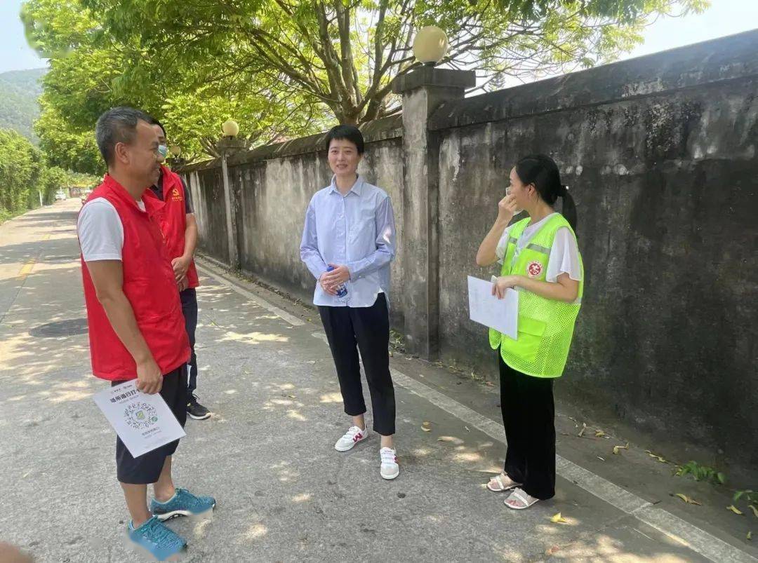 张乔楚_情况_森林