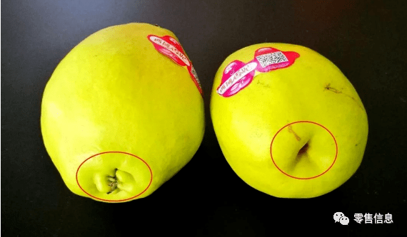 但并非所有梨的宿萼果和脱萼果品质都不一样,按脐部形状判断味道的