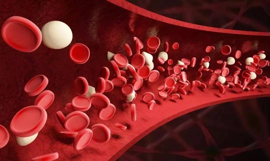 每秒破坏300万红细胞!我国航天员太空工作6个月,究竟该怎么办?