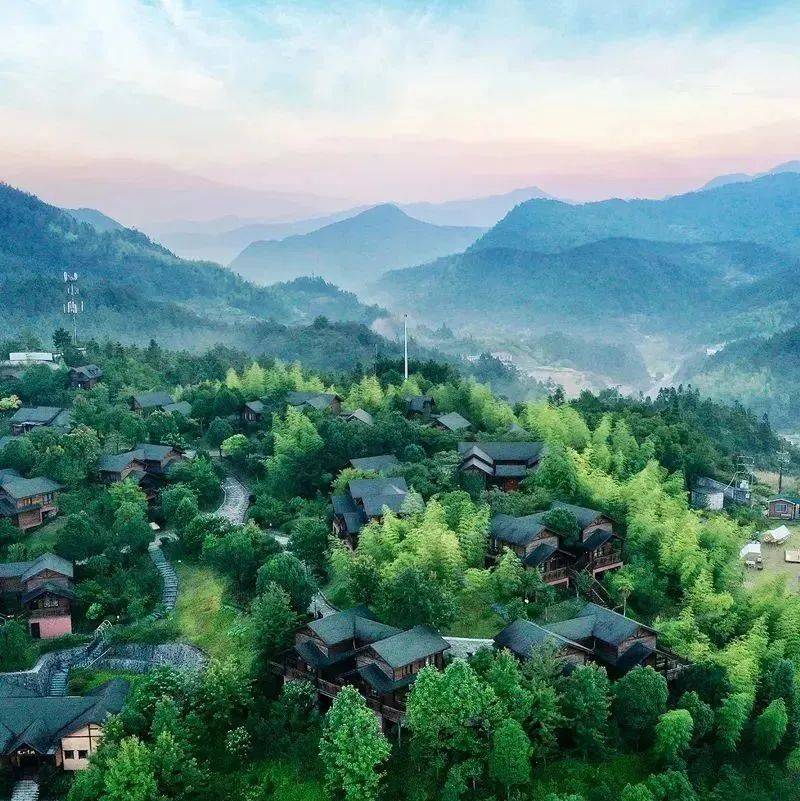 奋进新征程 建功新时代·非凡十年丨美丽中国展新颜——新时代中国生态文明建设述评_潜鸭_我国_展新颜