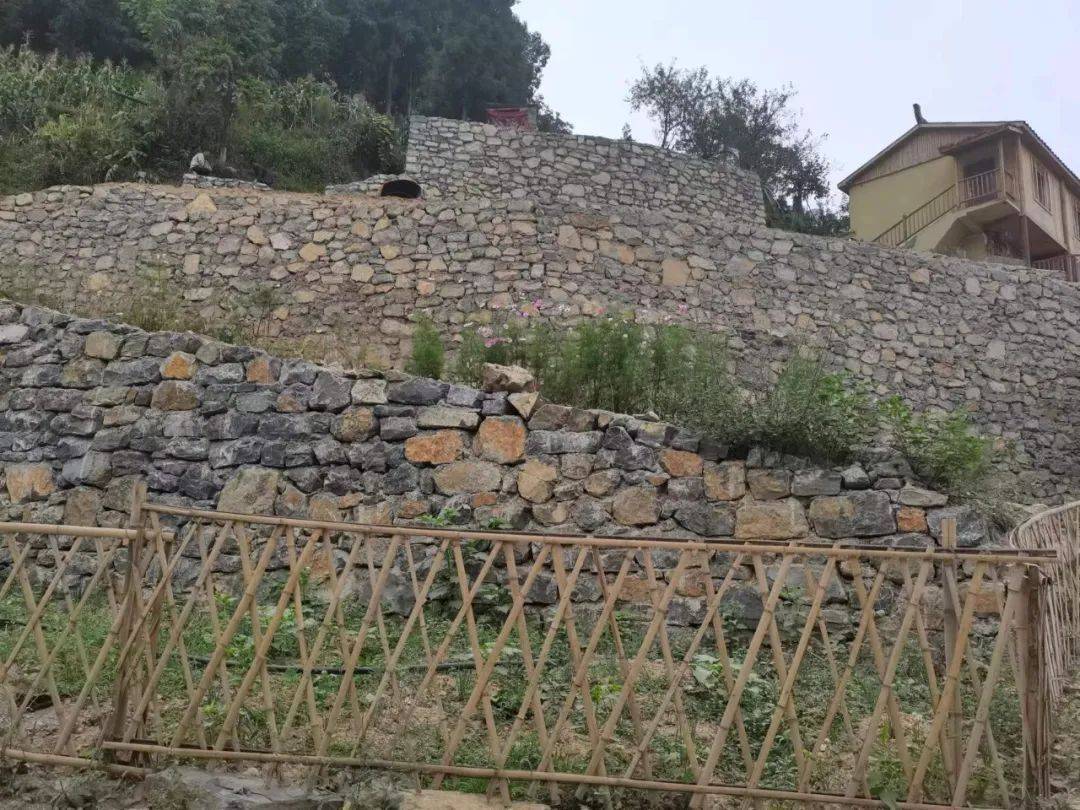 杨成菊骑了4年的摩托第一次"回家"_周勇_协作_资金