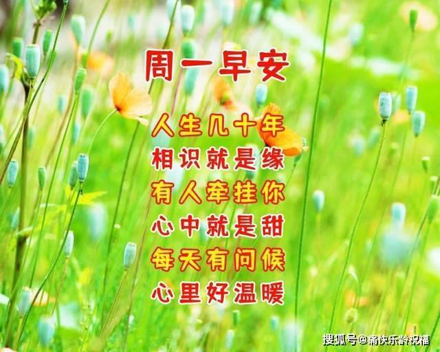 周一问候 搜狐网
