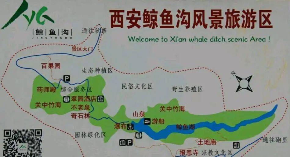 鲸鱼沟竹海风景区,周末旅游好去处~_竹林_西安_鲸鱼湖