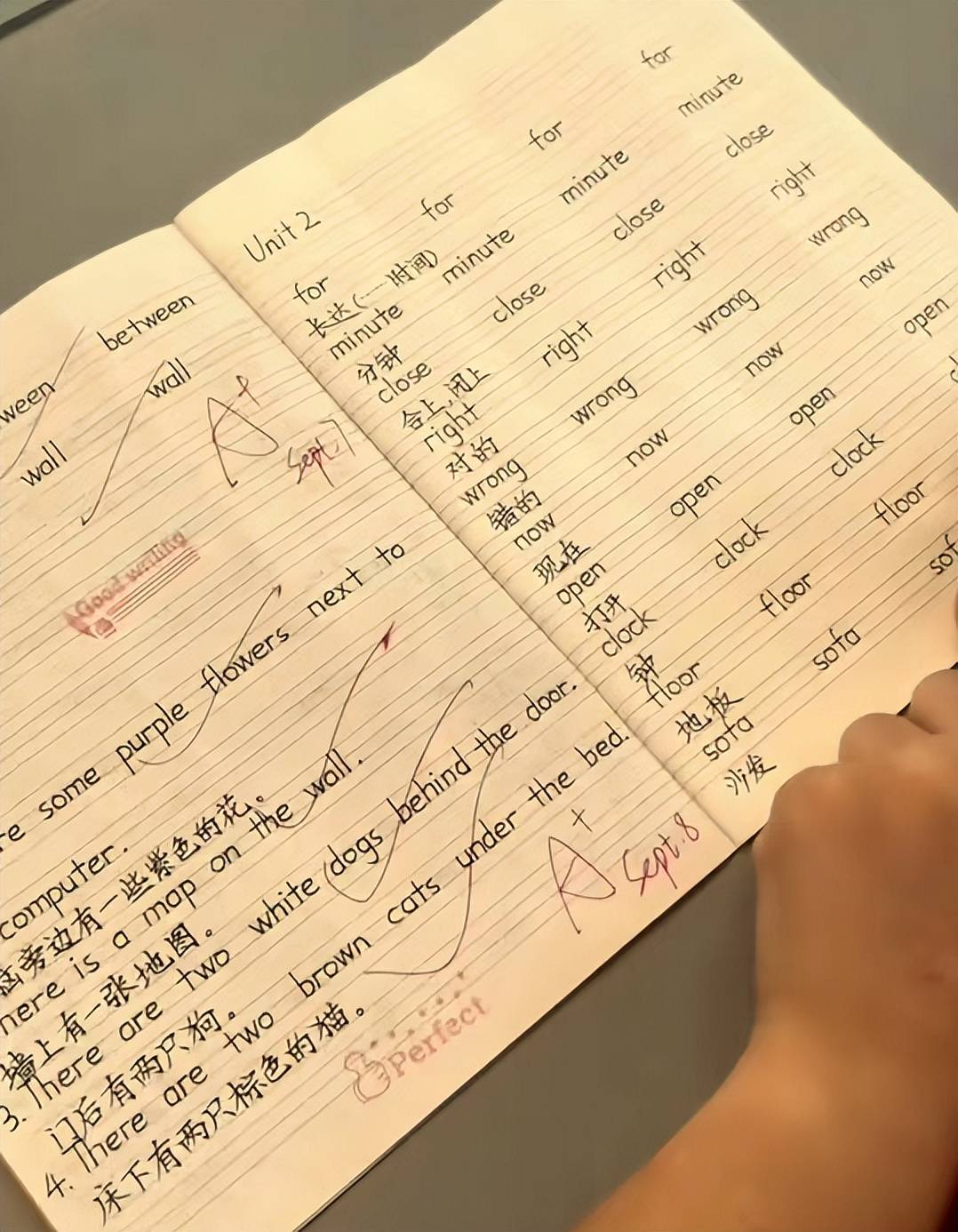 广东一小学四年级女生作业工整,字迹如同印刷体,评论区酸味十足_家长_时间_作业