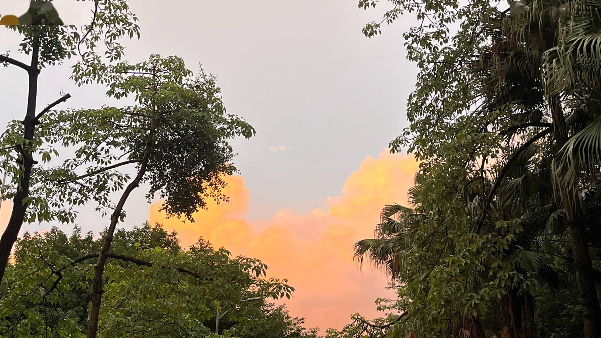 半月_成多_小时