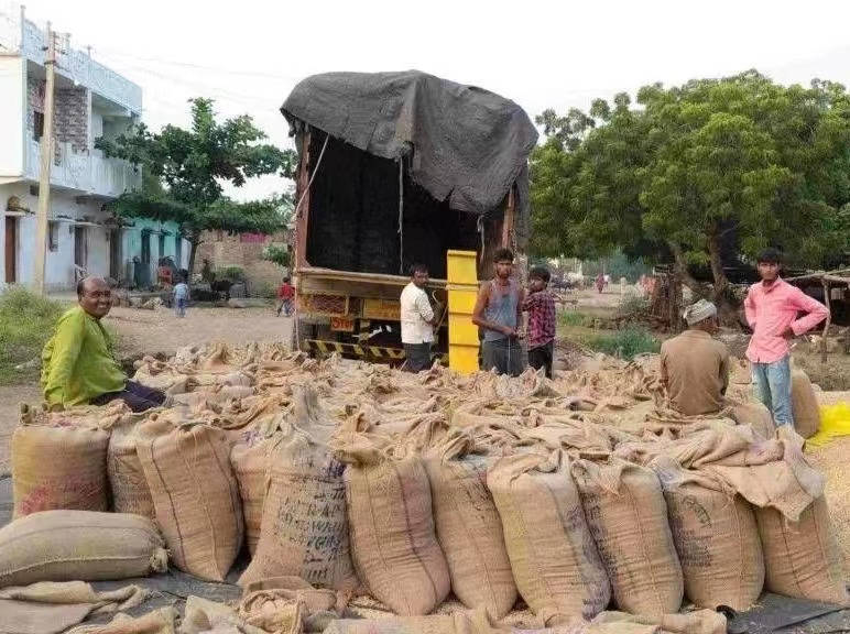 印度实行大米出口禁令，会影响你我的饭碗吗?？