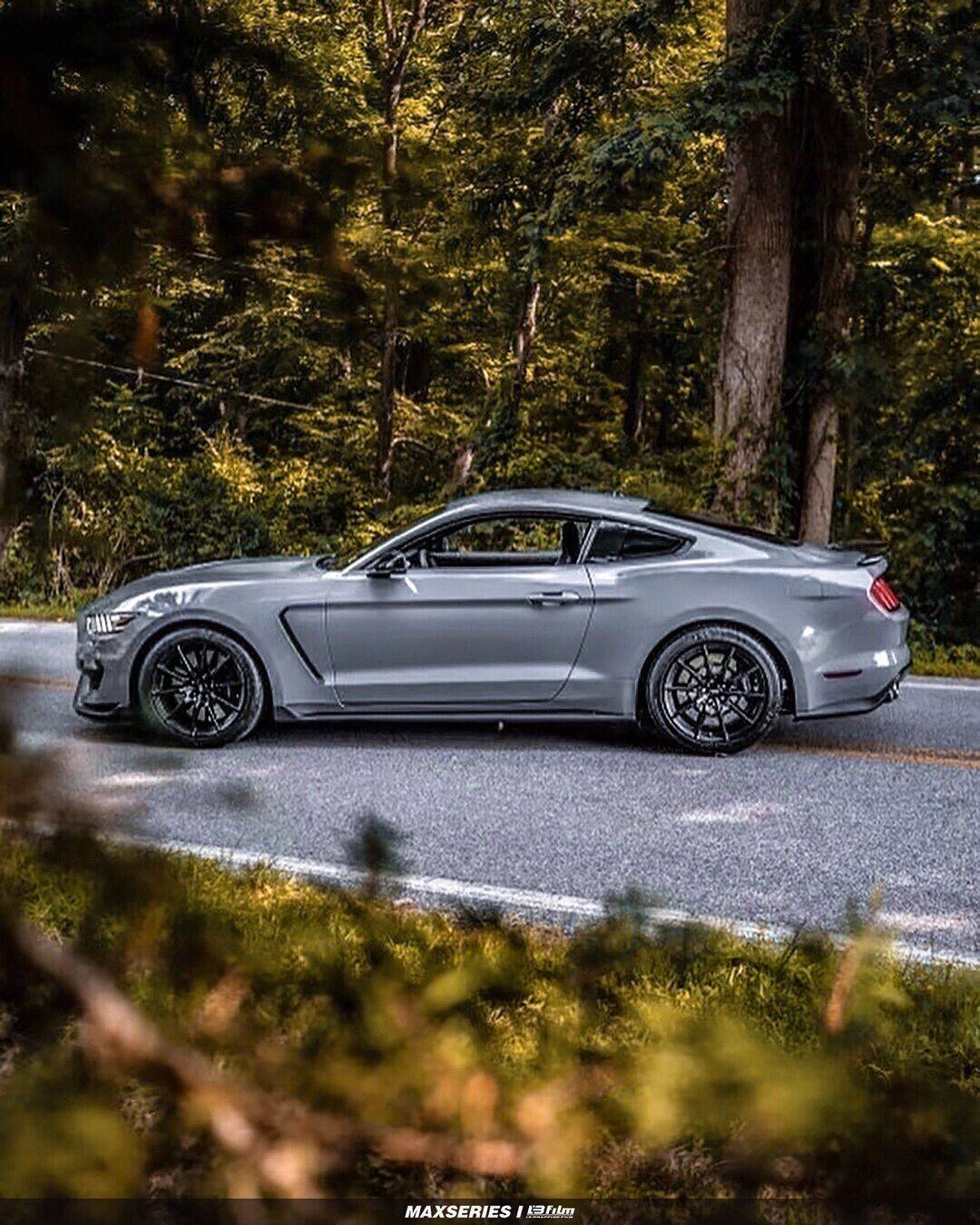 福特mustang-lb改色膜高亮纳多灰,质感不失高级感_灰色_真香_经典