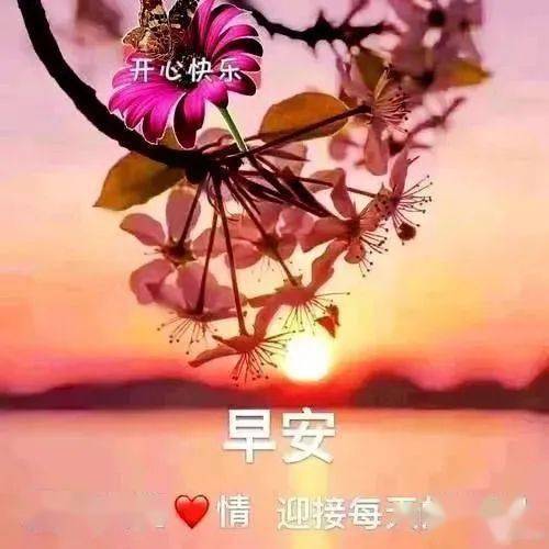 早上好图片大全动态表情 群里大家早上好的图片祝福_问候_阳光印_短信