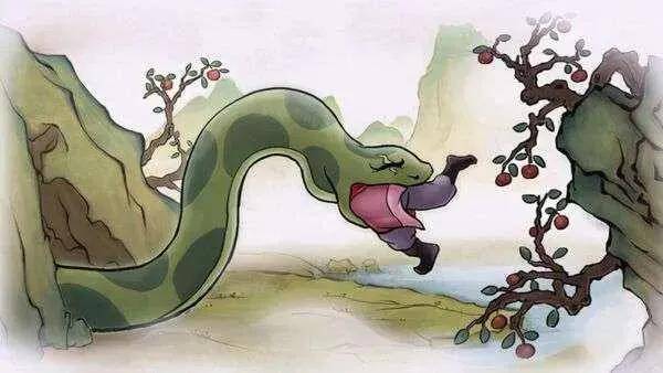 被蟒蛇吞进肚子里是什么样的感觉?为什么说持刀逃生不现实?