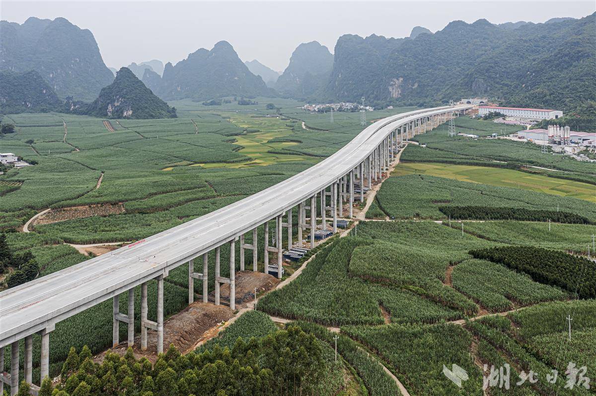 大新县高端网站建设_(大新县工程项目公开招投标)