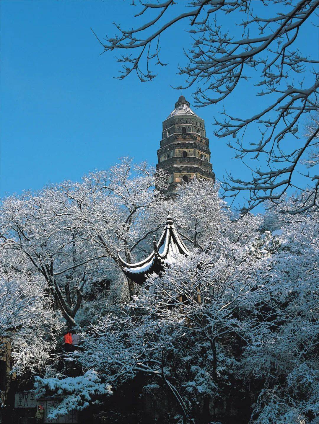 水韵旅游｜深度打卡苏州31个王炸景区，这么玩能省四位数！_江苏_虎丘_古镇