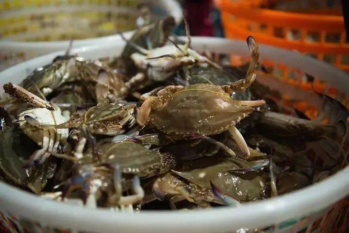 玉环一座拥有海鲜自由的小城,即将开始沸腾!_做法_梭子蟹_螃蟹