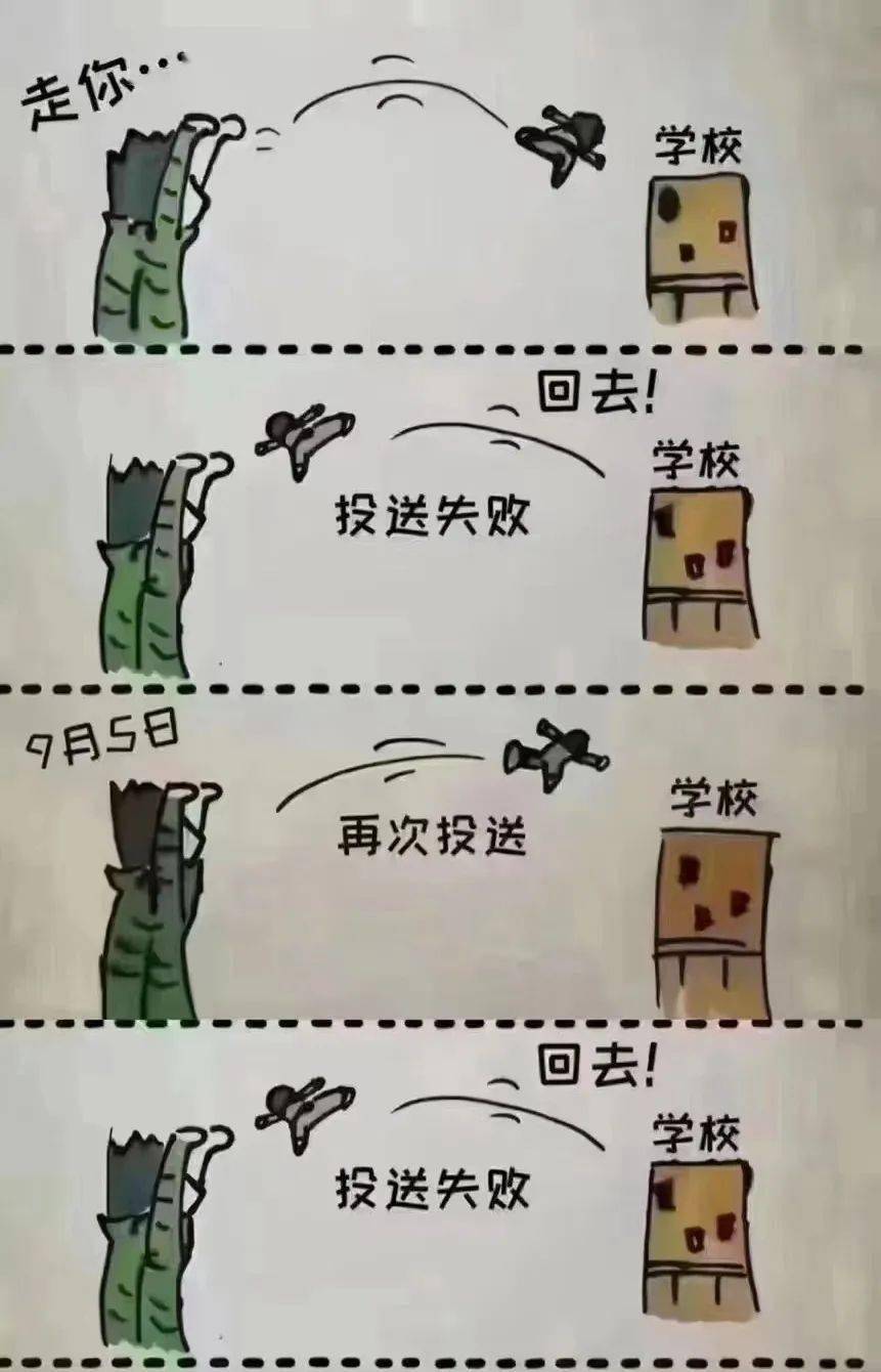 今日校园APP表情包图片