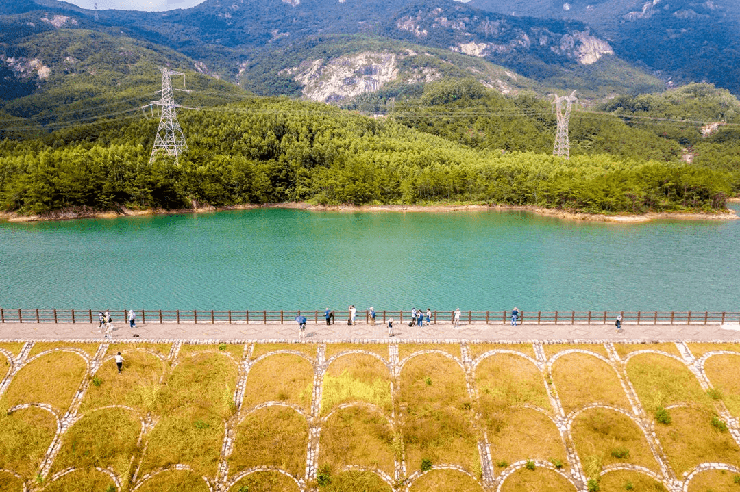 【厦门同安田园竹坝丨栖竹·朴舍民宿】去过城市人向往的田园生活