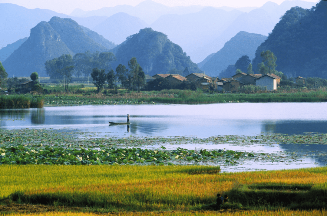 康旅集团邀您到普者黑共叙秋天童话_湖水_荷花_夏天