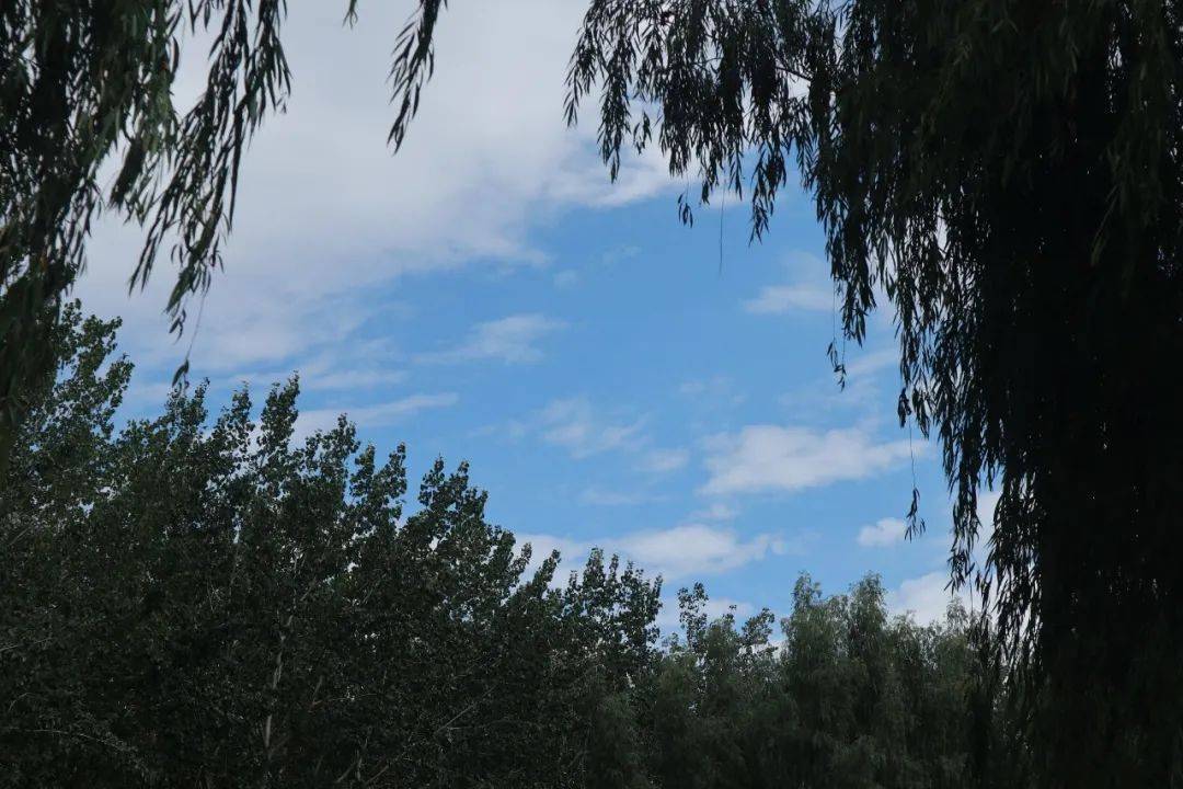 週末去太原森林公園半日遊_百鳥園_碰碰車_秋景