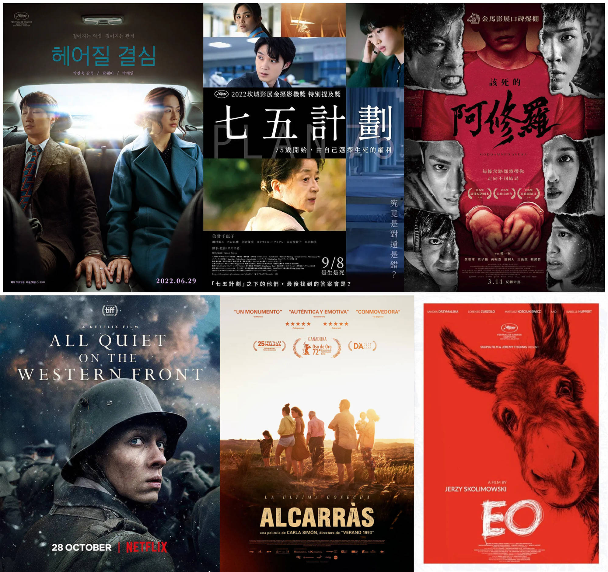 各国和地区选送第95届奥斯卡最佳国际影片片单出炉中国内地及香港尚未确定_搜狐网