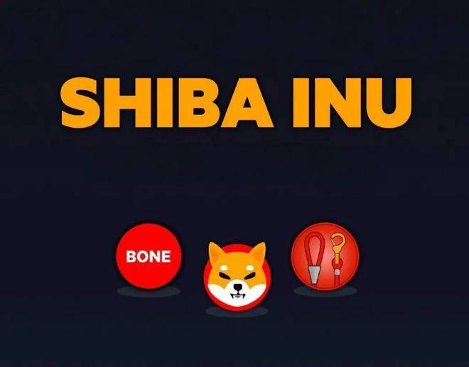 shiba inu 的骨头币(bone)在 shibarium 推出前飙升 20%_bone_价格