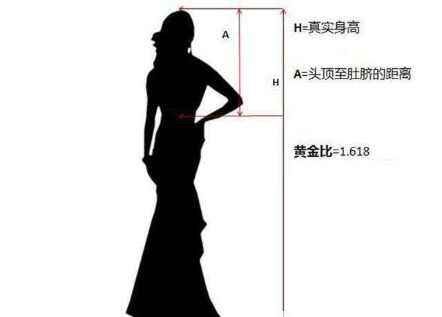 女人身高黄金比例表图片