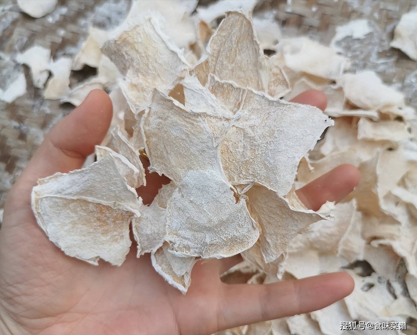 晒冬瓜干,晒干以后比新鲜的还好吃,放一年不坏,冬天炖肉特别香_小时