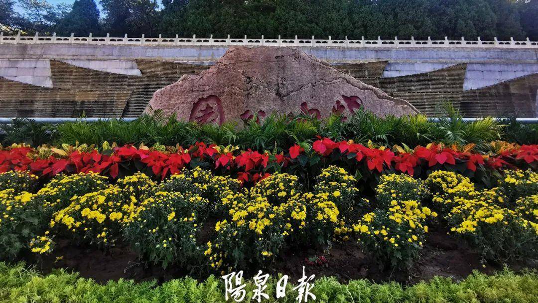 国庆鲜花盆景在这里"上线"啦→_阳泉市_南山公园_北门