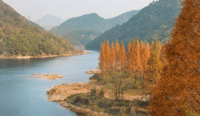浙江有一名山，地处浙江东部，植被覆盖率达96%，被誉为第二庐山