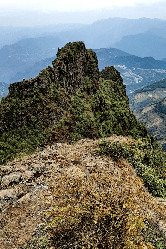 云南猫猫山图片