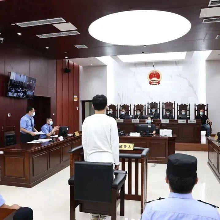 全市首例!罚金五万!有期徒刑二年六个月_程某_公民_违法