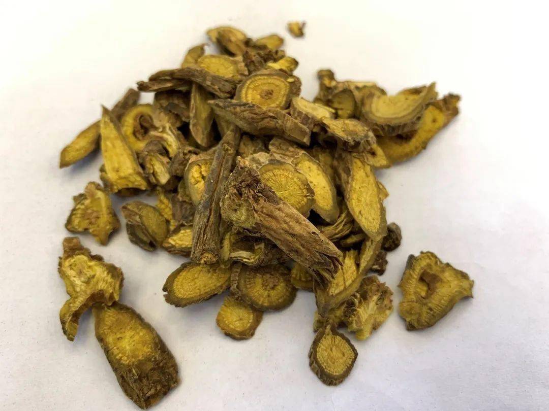 黄柏的功效不包括下列哪项?