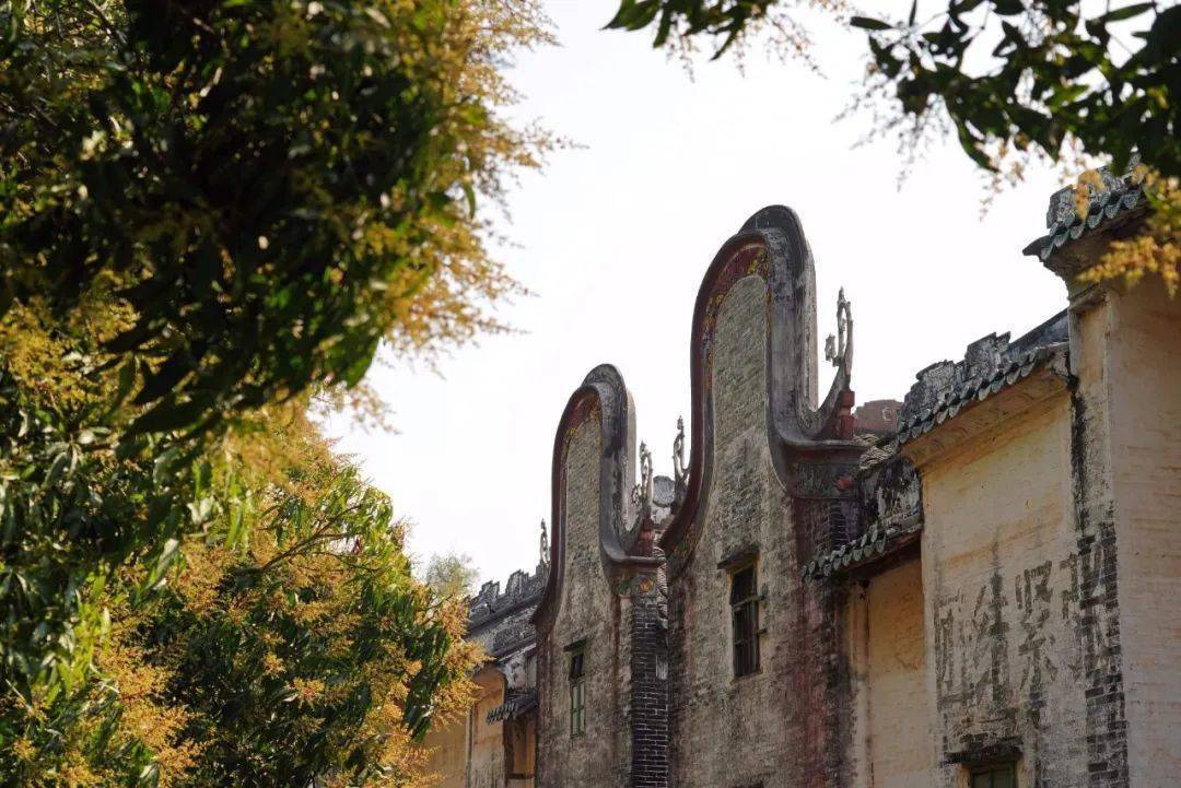 罗定梁家庄项目最新施工进度实拍抢先看_庄园_黎少镇_广场