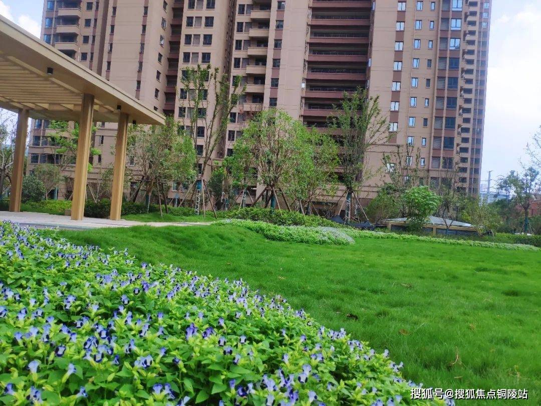 武汉美联·城观售楼处电话多少丨美联·城观丨官方网站—美联·城观