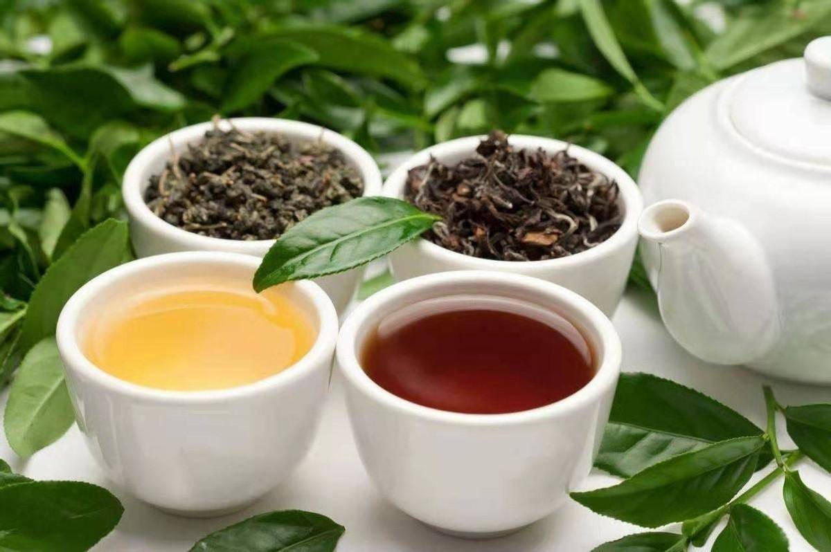 秋天每一杯茶,可以是搭配广西好景的八桂名茶_六堡_凌云_山水