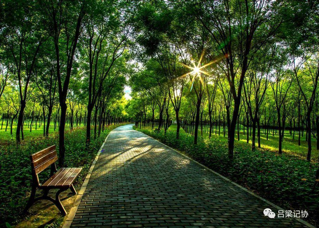 「我的吕梁·我的城」自然氧吧 城中绿肺——北川河公园