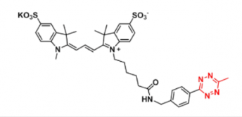 甲基四嗪-磺酸基Cy3