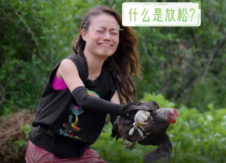 容祖儿抓鸡吓出表情包,张翰在一旁偷笑合不拢嘴,这俩组cp很搞笑_节目