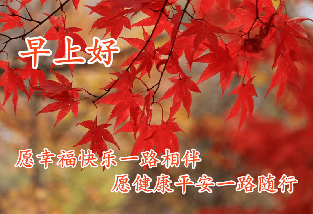 秋天清晨祝福图片图片