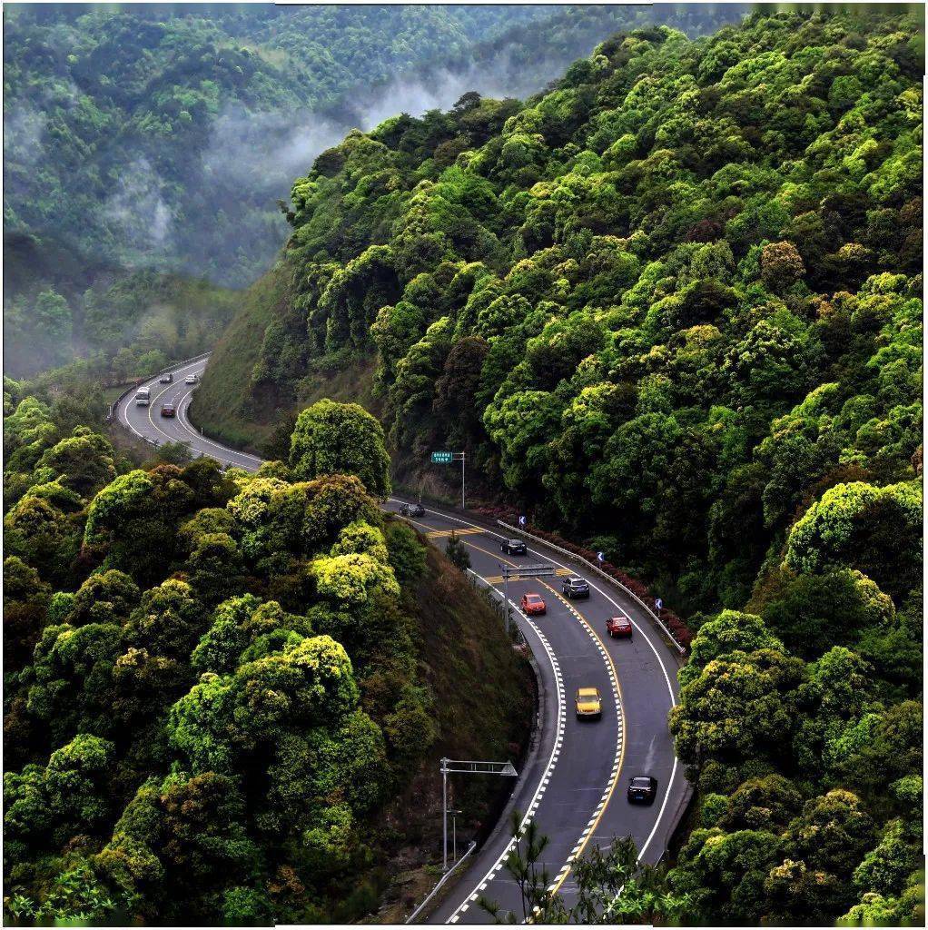 9亿元)的8.4倍.至2021年底,泰顺县公路总里程达到2333.