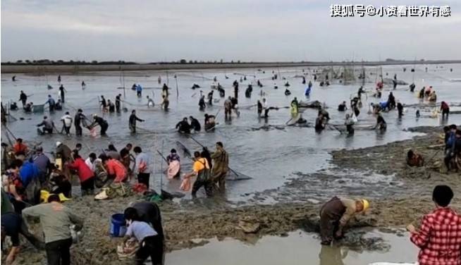 安徽六安城西湖水位大降 引万人抓鱼 网友：抓的不是鱼是童年