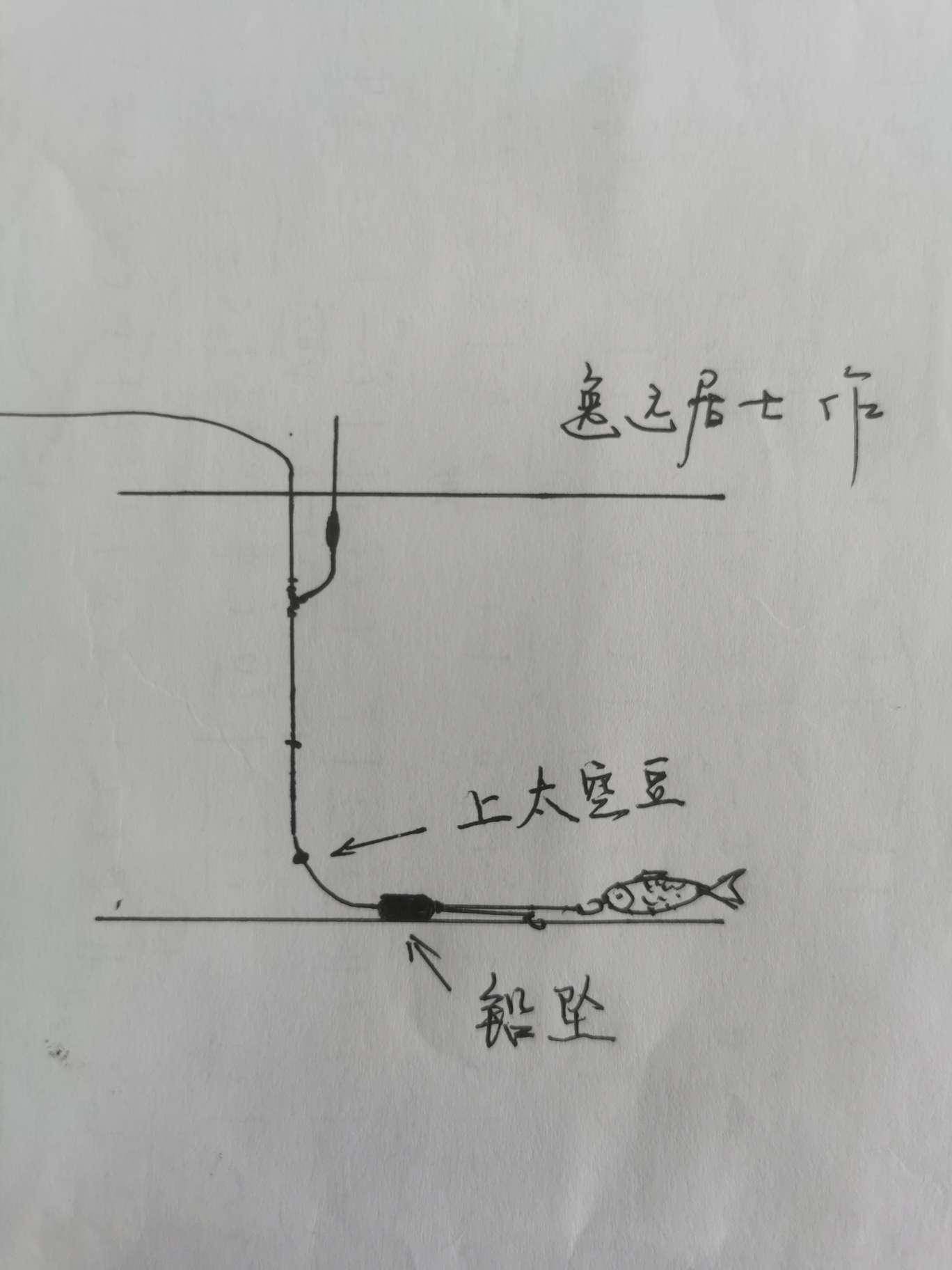 鱼竿漂浮绑法图片