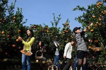 上海小众团建游 长兴岛郊野公园